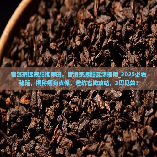 普洱茶选减肥推荐的