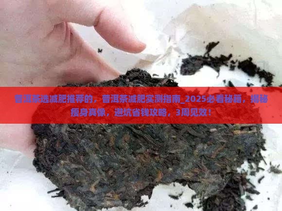 普洱茶选减肥推荐的