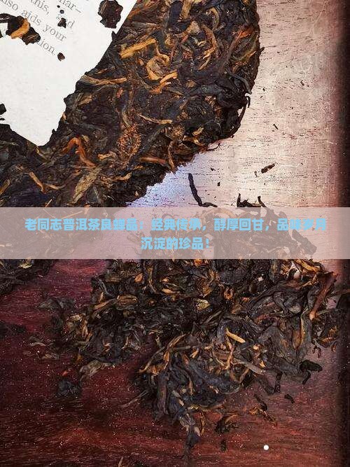 老同志普洱茶良蝉品