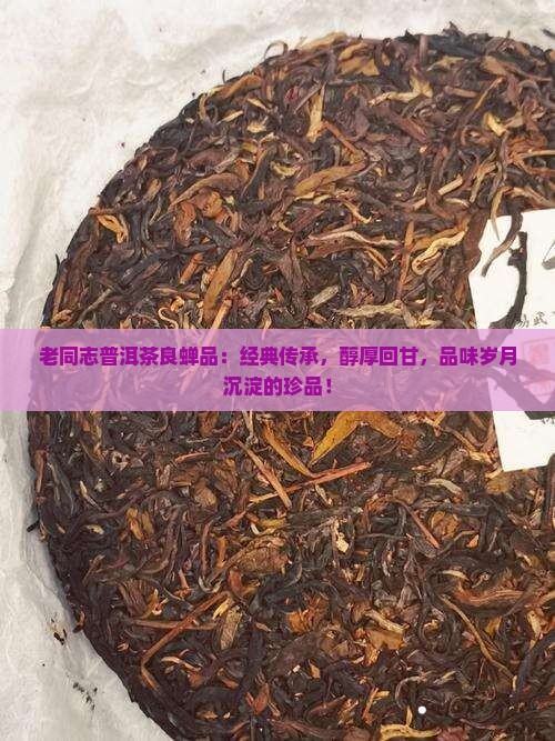 老同志普洱茶良蝉品