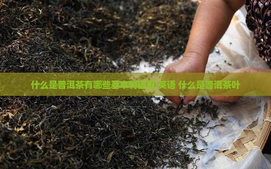 什么是普洱茶有哪些基本特征呢