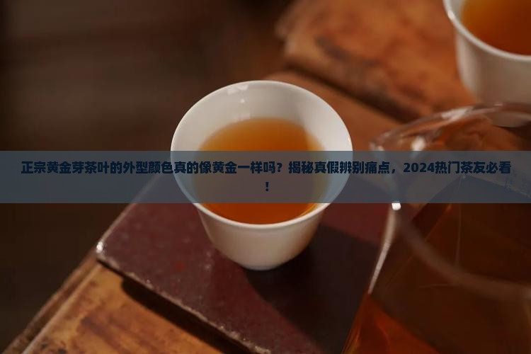 正宗黄金芽茶叶的外型颜色