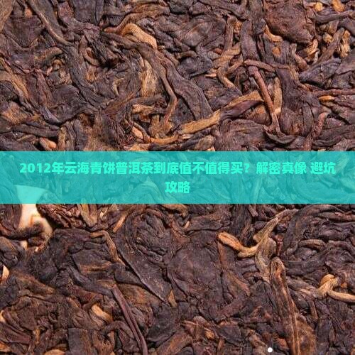 2012年云海青饼普洱茶