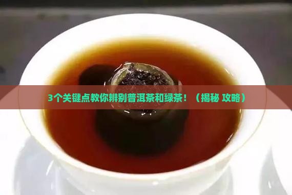 普洱茶和绿茶有何区别