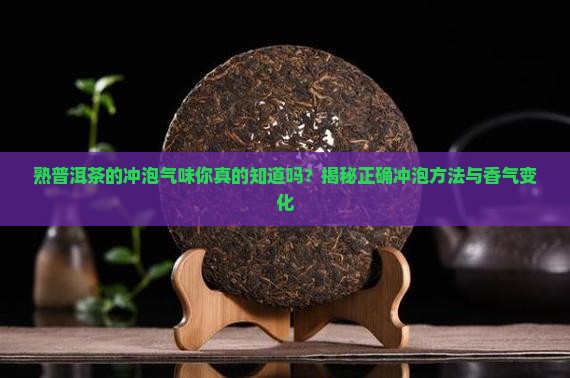 熟普洱茶的冲泡气味
