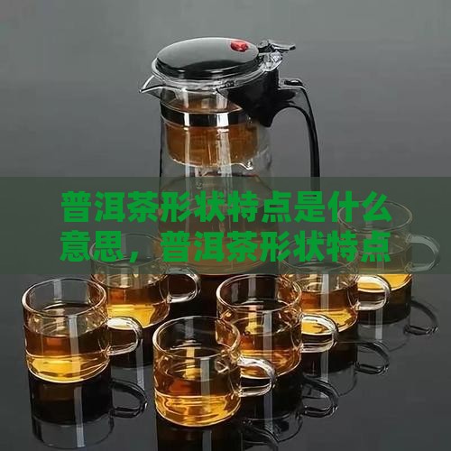 普洱茶形状特点是什么意思