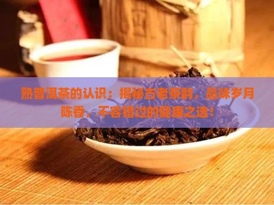 熟普洱茶的认识