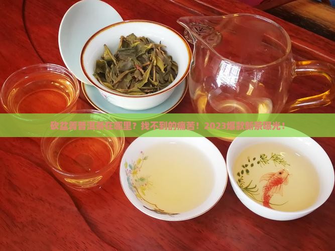 砍盆箐普洱茶在哪里