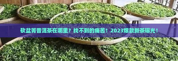 砍盆箐普洱茶在哪里