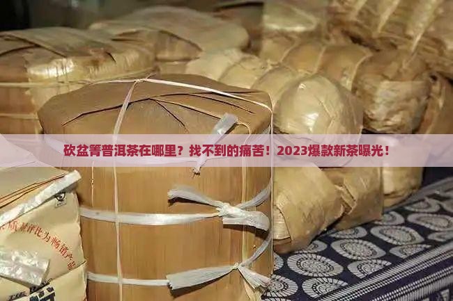 砍盆箐普洱茶在哪里