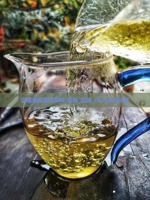 蓝猫能喝普洱茶吗