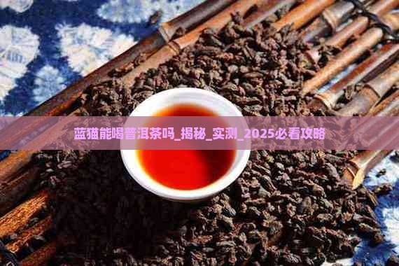 蓝猫能喝普洱茶吗