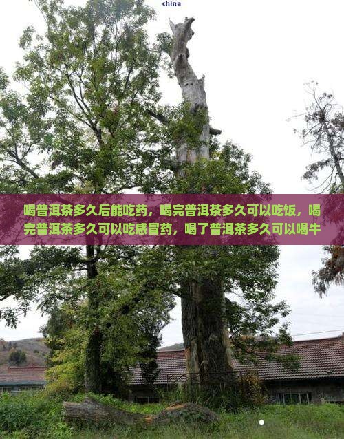 喝普洱茶多久后能吃药