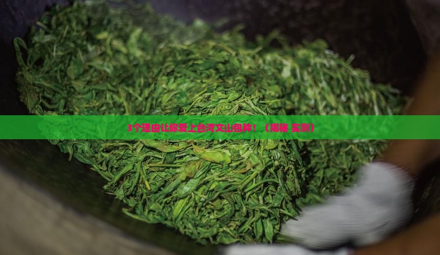 台湾文山包种属于什么茶