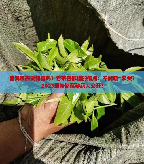 普洱茶需要储藏吗
