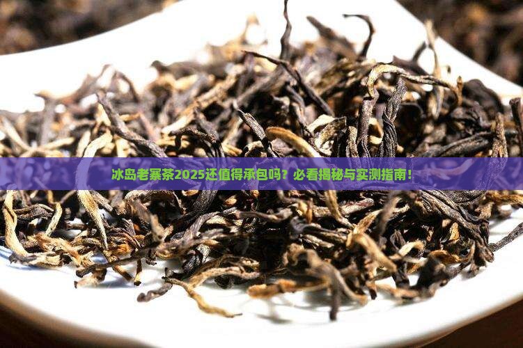 冰岛老寨茶还被承包吗