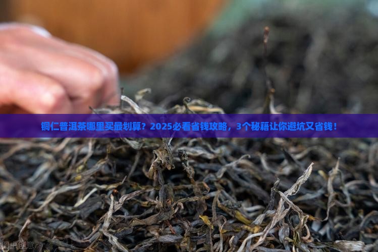 铜仁普洱茶哪里有