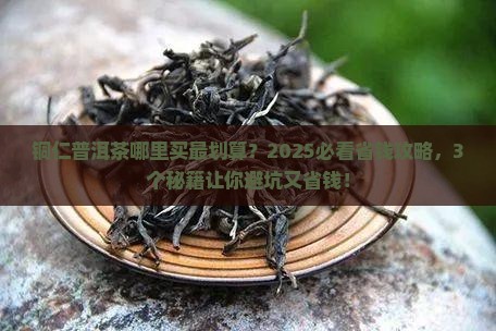 铜仁普洱茶哪里有
