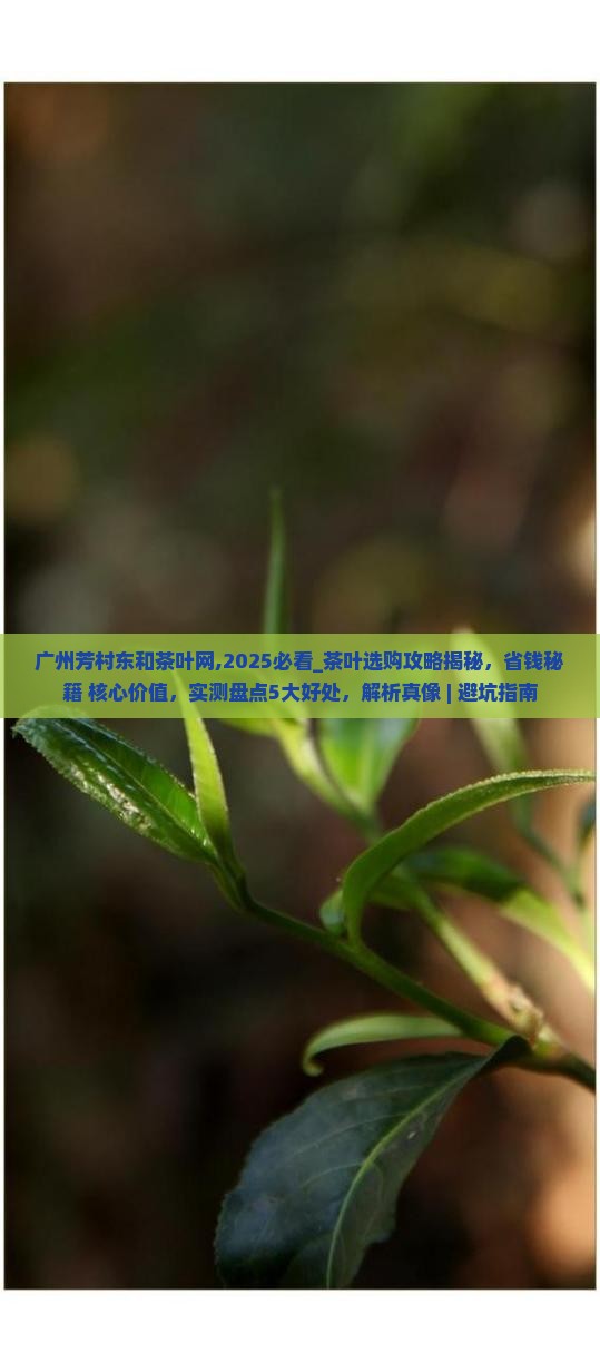 广州芳村东和茶叶网