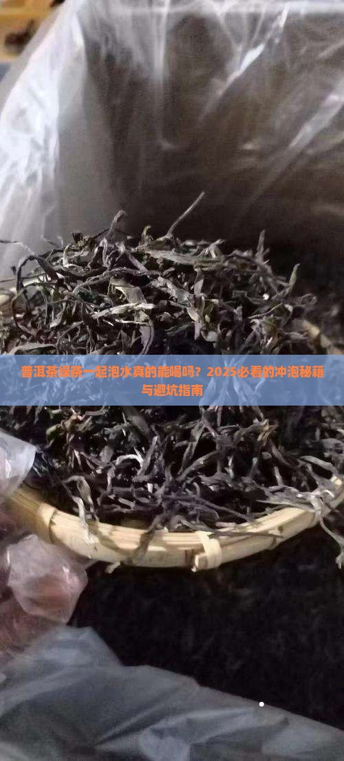 普洱茶绿茶一起泡水