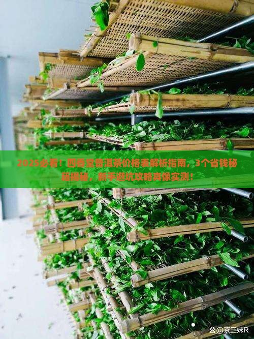 四香堂普洱茶价格表