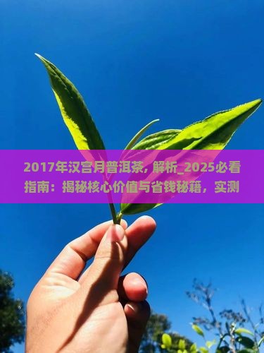2017年汉宫月普洱茶