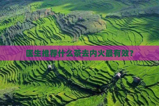 有什么茶去内火最有效