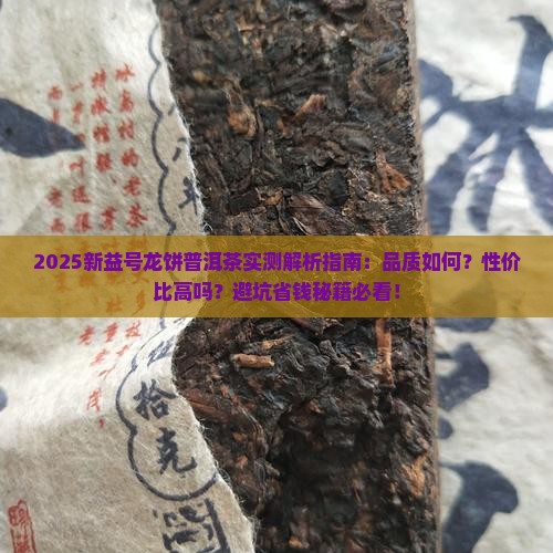 新益号龙饼普洱茶怎么样