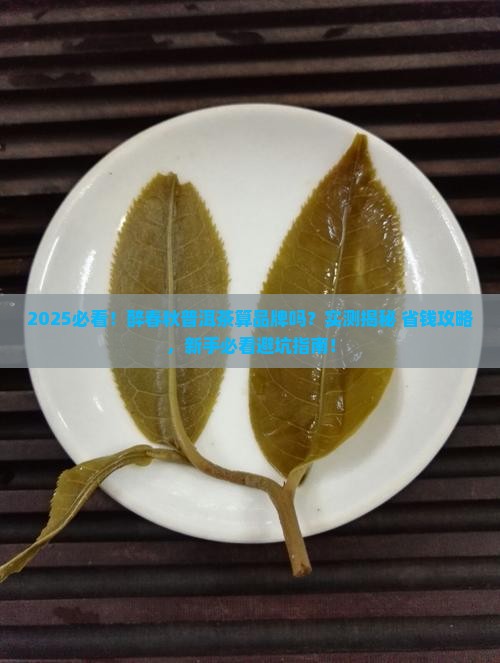 醉春秋普洱茶算品牌吗