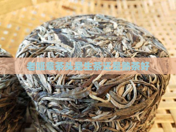 老班章茶头是生茶还是熟茶