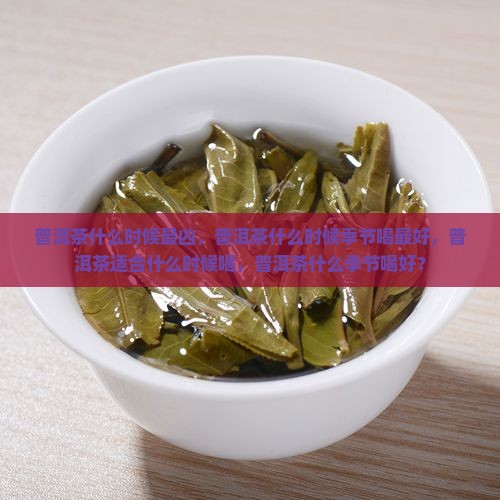 普洱茶什么时候最凶