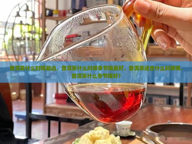 普洱茶什么时候最凶