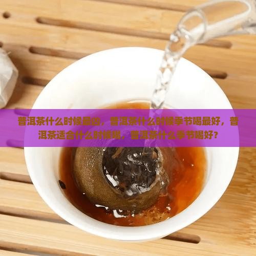 普洱茶什么时候最凶