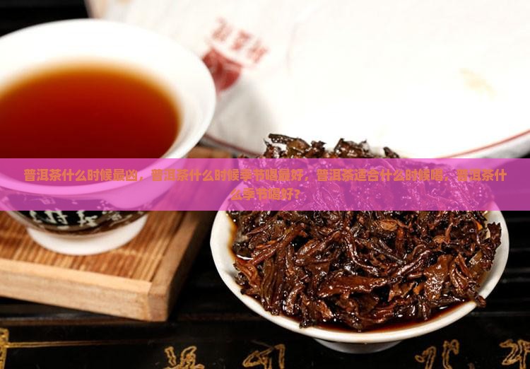 普洱茶什么时候最凶