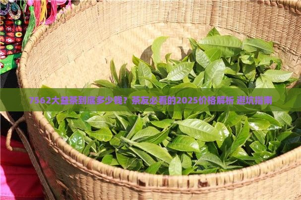 大益茶7562价格