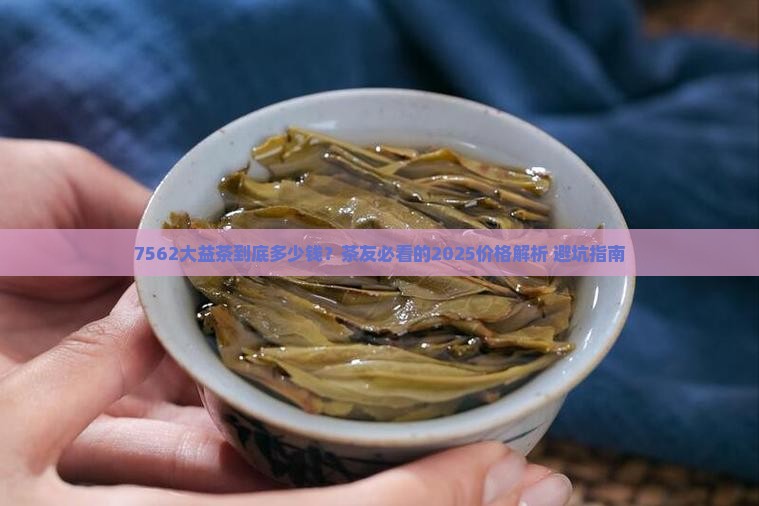 大益茶7562价格