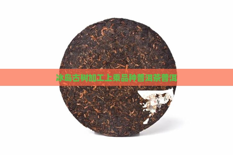 丽江冰岛古树茶