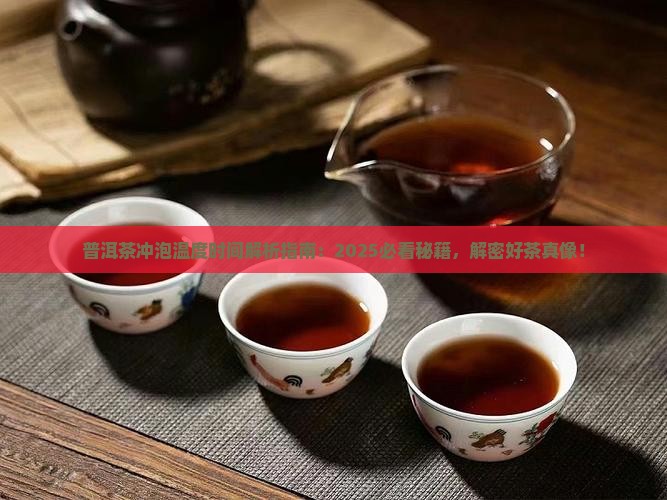 普洱茶冲泡温度时间