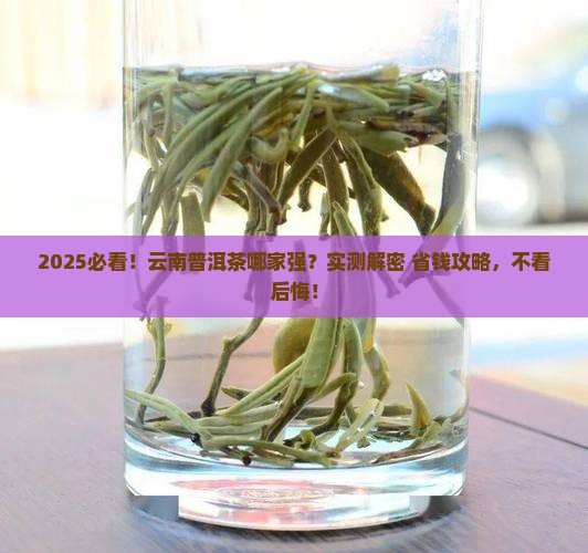 云南的普洱茶哪家好 云南的普洱茶哪家好