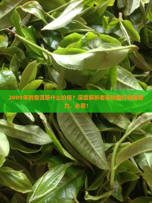 2009年的普洱茶什么价格