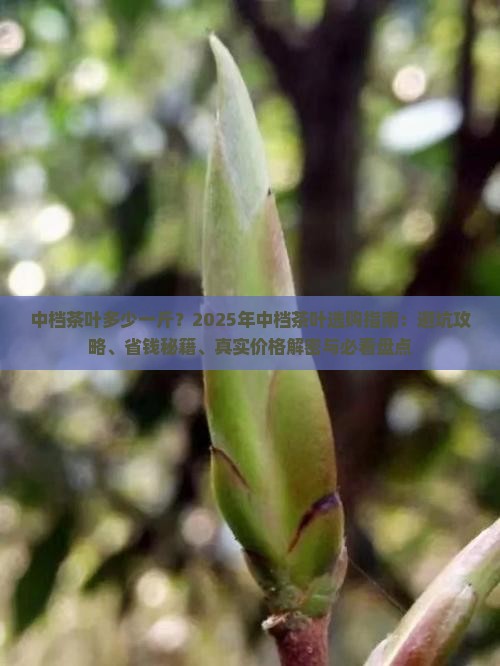 中档茶叶多少一斤