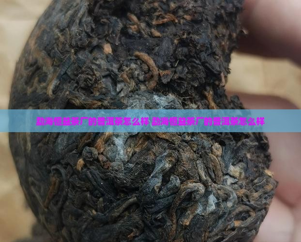 勐海恒益茶厂的普洱茶怎么样