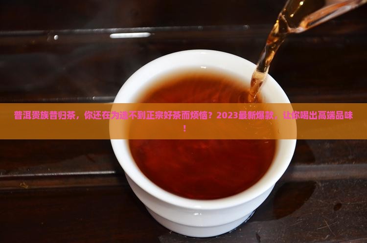 普洱贵族昔归茶