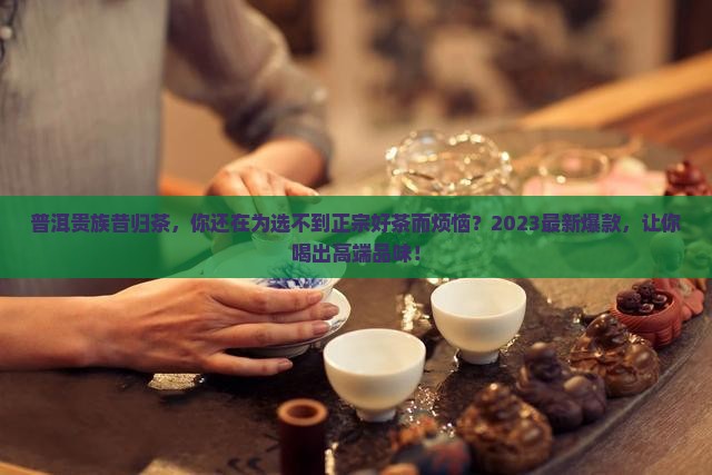 普洱贵族昔归茶