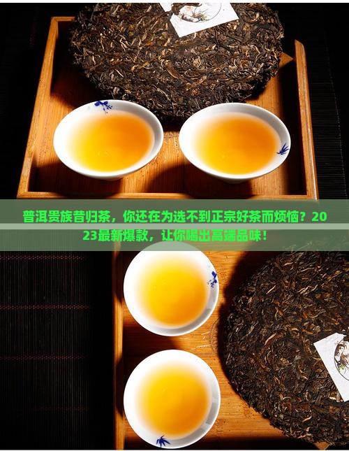 普洱贵族昔归茶