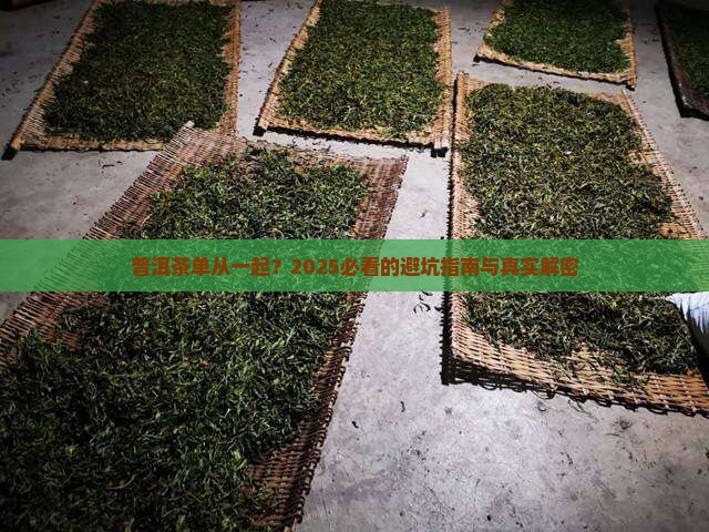 普洱茶单从一起