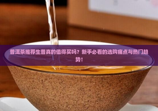 普洱茶推荐生普