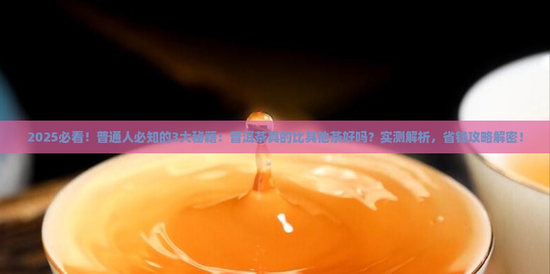 普洱茶比其他茶好吗