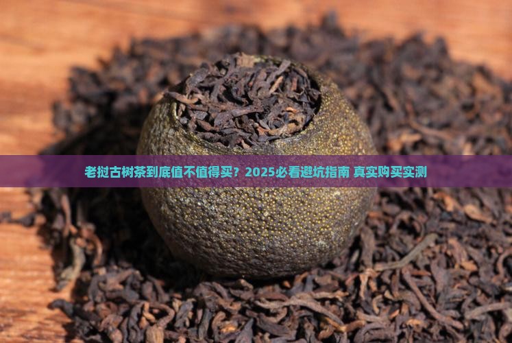购买购老挝古树茶