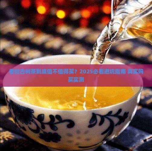 购买购老挝古树茶